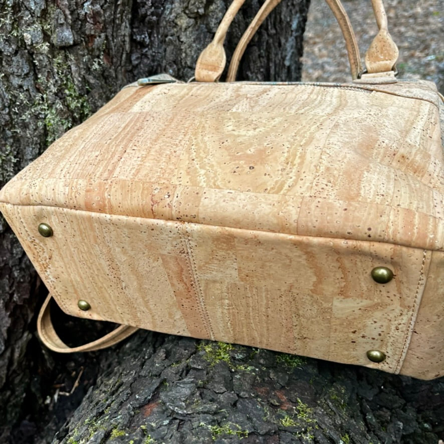 Top Shelf - The Clara Barton