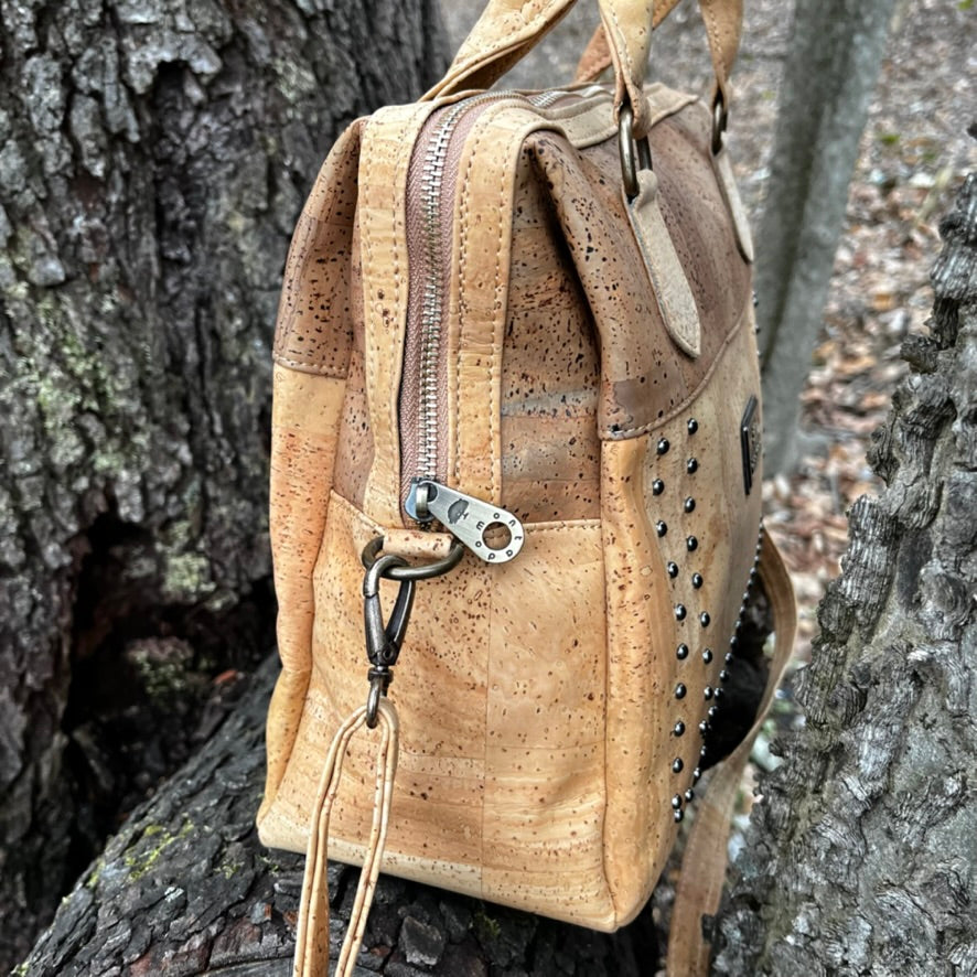 Top Shelf - The Clara Barton