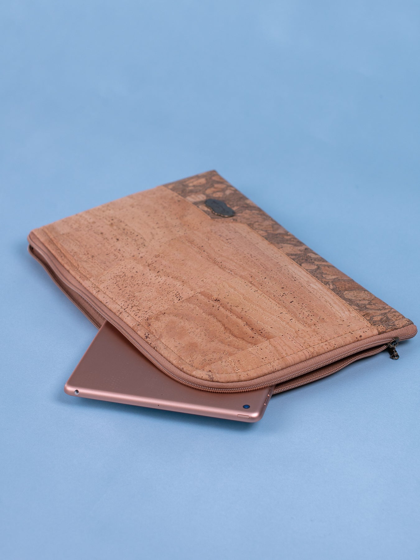 Bible (iPad) Cover