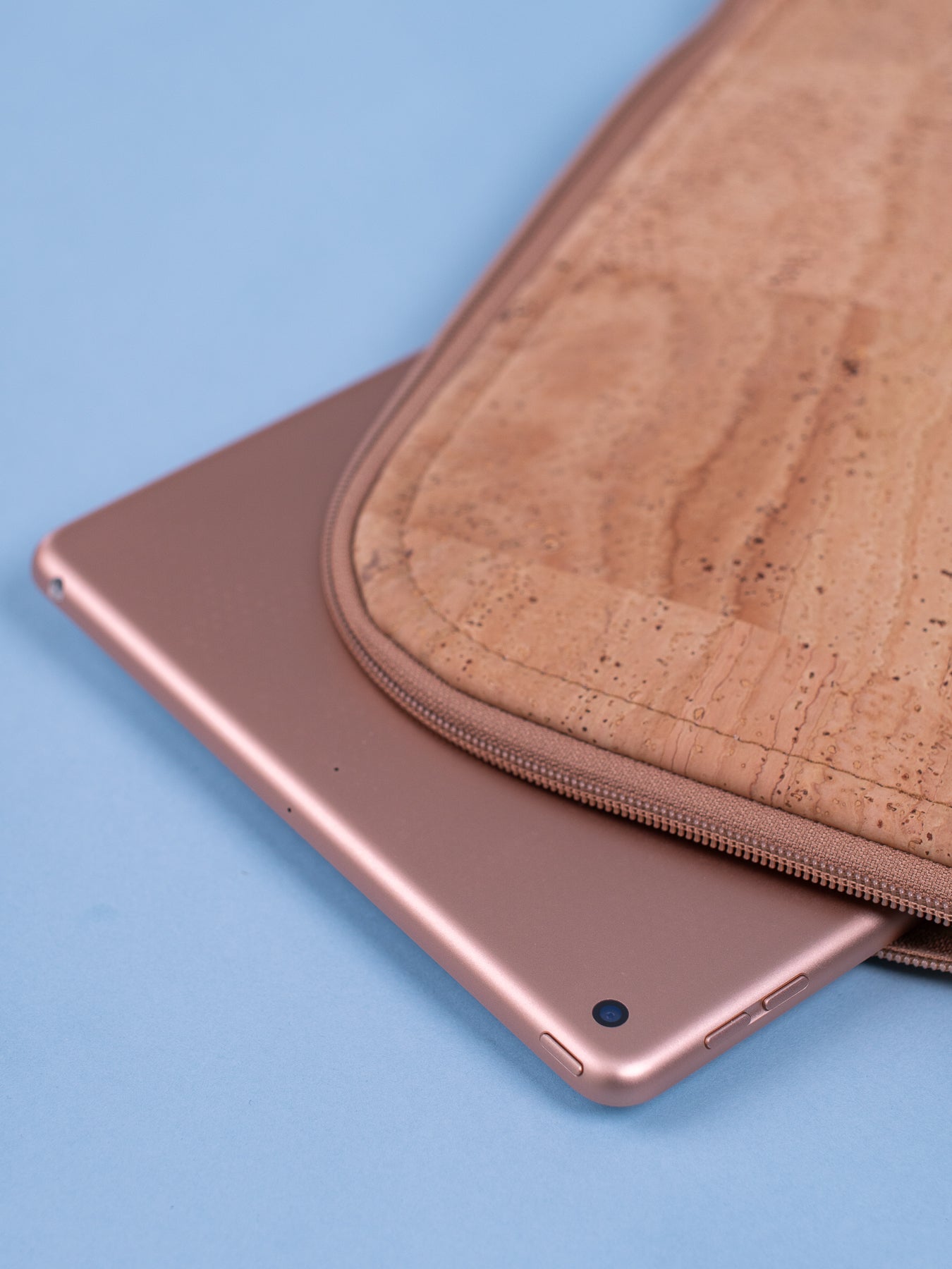 Bible (iPad) Cover
